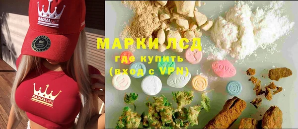 гашик Аркадак
