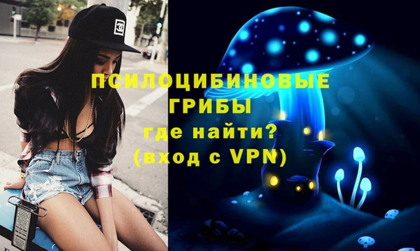 гашик Аркадак