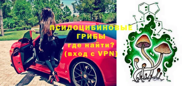 гашик Аркадак